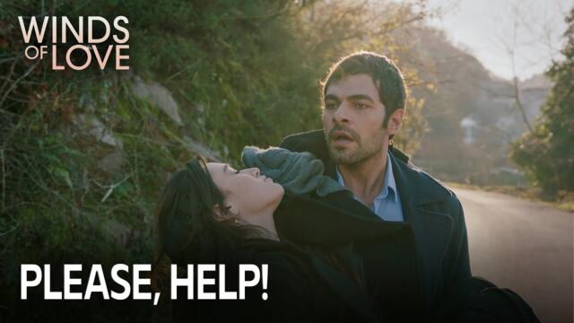 Karımı benden almana izin vermeyeceğim | Rüzgarlı Tepe 213. Bölüm