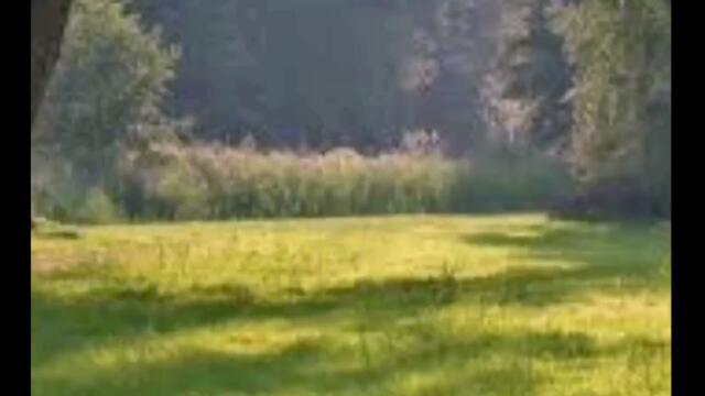 Сериал КВ ×Полнолуние× 1 серия