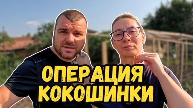 Нападнаха ни кокошинки | Къща на село | Милчеви БГ