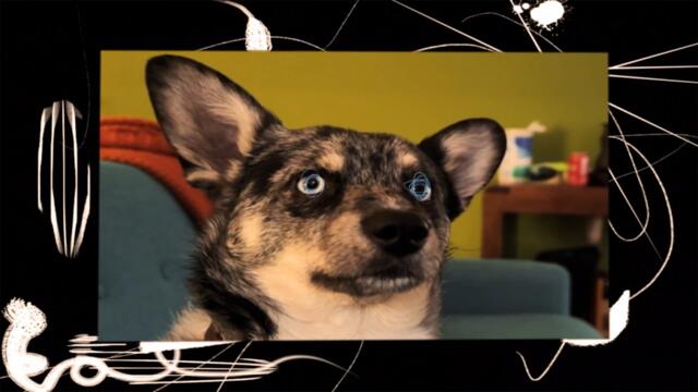 Aesop Rock - Movie Night (Official Video)