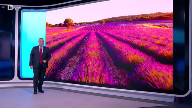 bTV Времето (25.06.2025 г. – централна емисия)