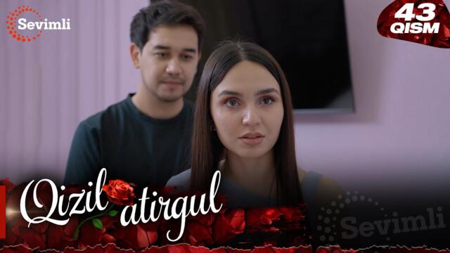 Qizil atirgul 43-qism (milliy serial) | Қизил атиргул 43-қисм  (миллий сериал)