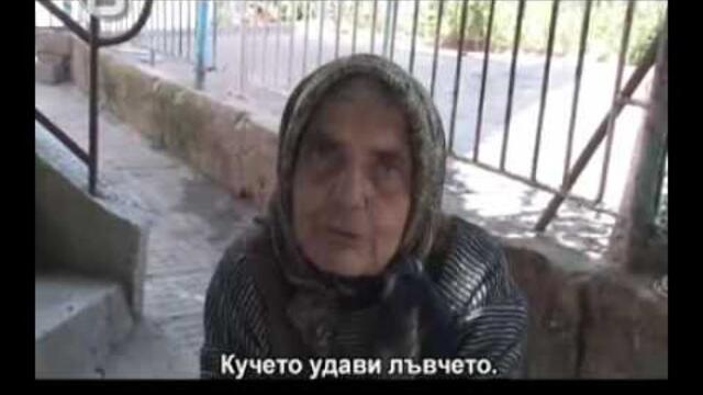 баба гледа льв в дома си