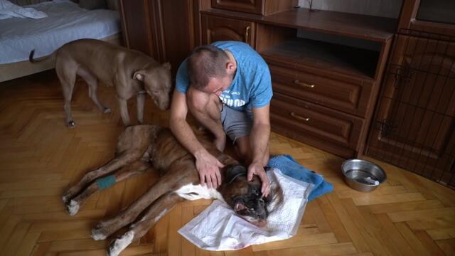 Прощай Мой Тайсик😢