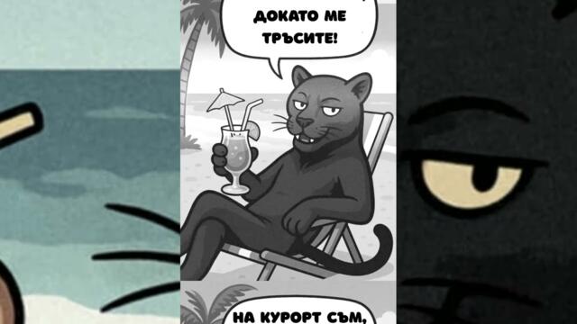 Daskal - Песен за пантерата от Шумен (BG POP remix)