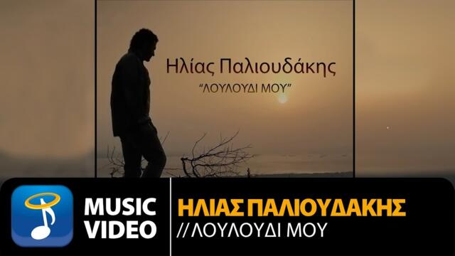 Ηλίας Παλιουδάκης - Λουλούδι Μου | Ilias Palioudakis - Louloudi Mou (Official Music Video HD)