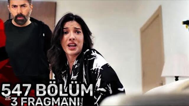 Esaret. Плен 547 серия. Романтическая ночь, которую Хира приготовила для Орхуна. Esaret 547 bölüm.