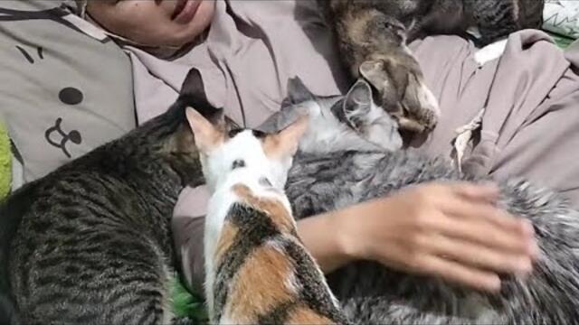 Bison ga boleh keluar nanti lebaran haji,takut di kasih nomor,kaya sapi