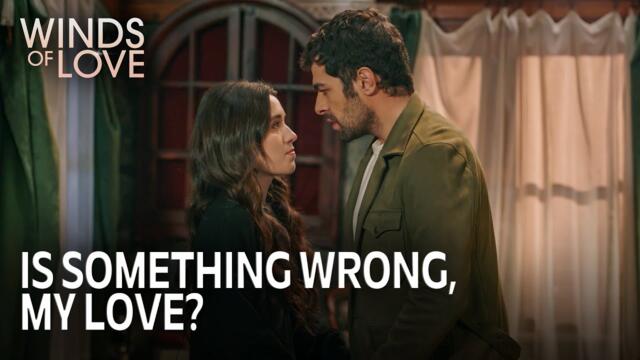 Zeynep, Halil'in anlattıklarını duydu mu? | Rüzgarlı Tepe 214. Bölüm