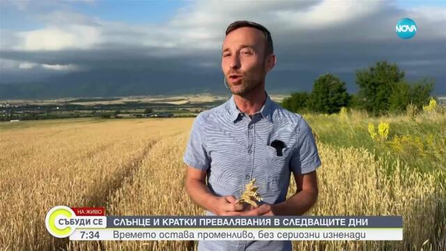 Прогноза за времето (29.06.2025 - сутрешна)