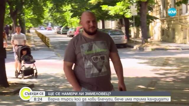 За поредна година: Варна търси ловец на змии