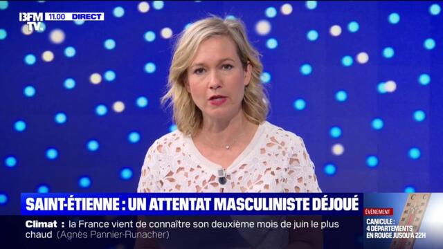 Un attentat d'un jeune homme masculiniste appartenant à la mouvance "incel" déjoué près de Saint-Étienne