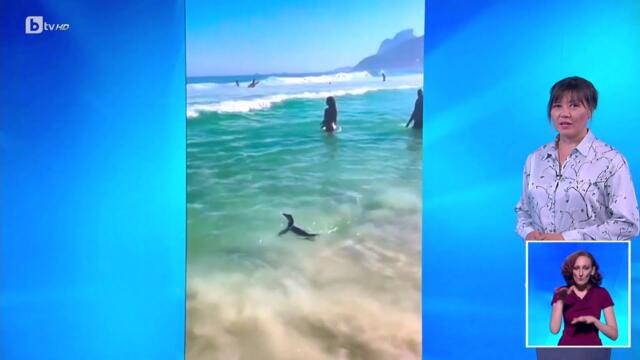 bTV Времето (02.07.2025 г. – централна емисия)