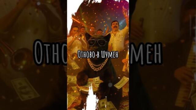 Шуменска пантера… #bgshorts #бг #чалга #шумен #смях #кючек  #Zinoaimusic