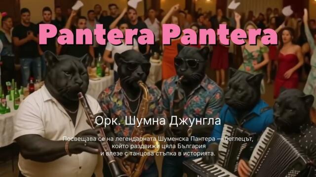 Пантера Пантера – Орк. Шумна Джунгла (Песен за Шуменската Пантера) (Кючек 2025)