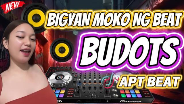 BIGYAN MOKO NG BEAT X APT BEAT DISCO ARVIN REMIX