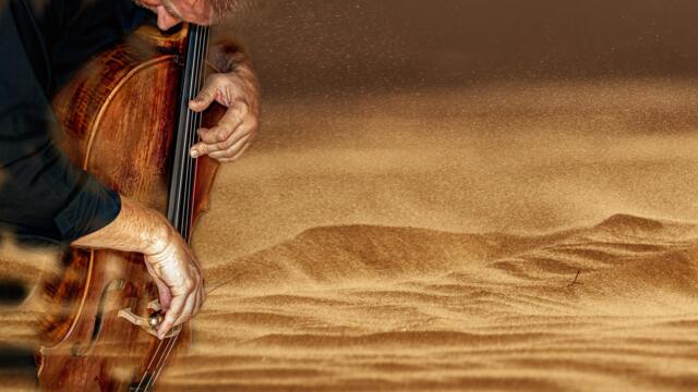 ☀️🌵 Пустинна роза .. (Hauser) 🌵☀️