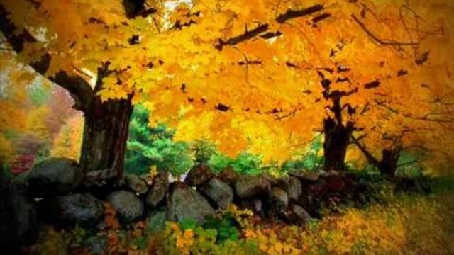 Южен Вятър   Как тихичко си капеха листата