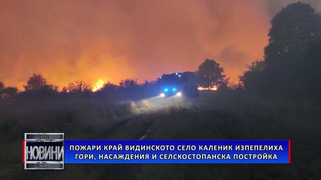 Пожари край видинското село Каленик изпепелиха гори, насаждения и селскостопанска постройка
