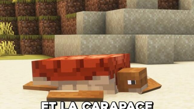 La vie d'une tortue sur Minecraft 🐢
