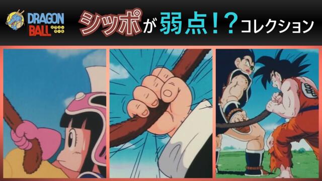 【ドラゴンボール】シッポが弱点！？コレクション【DRAGON BALL】
