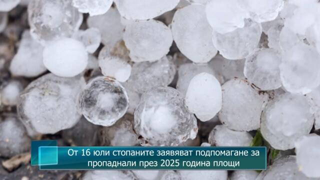 От 16 юли стопаните заявяват подпомагане за пропаднали през 2025 година площи
