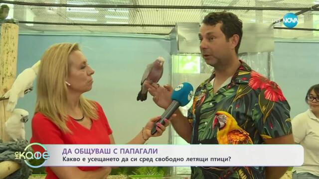 Авиариум: Мястото, където папагалите летят свободно около хората - „На кафе” (11.07.2025)