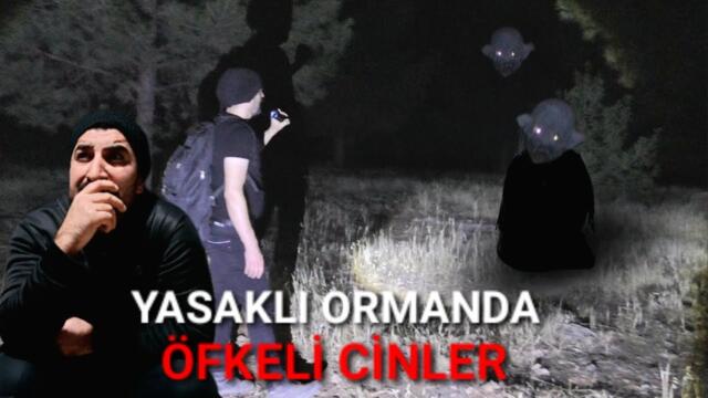 YASAKLI ORMAN'DA ÖFKELİ CİNLER Paranormal olaylar