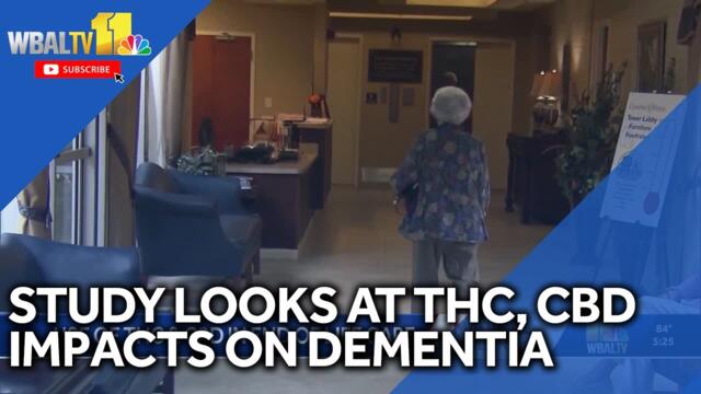 Study observes THC, CBD effects on dementia