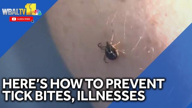 Here's how to prevent tick bites and illnesses