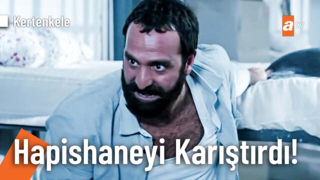 Kertenkele'nin hapiste bir günü! | Kertenkele Kolaj