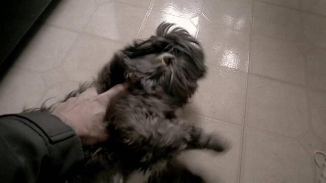 Moments captured before his extremely painful seizure!!! I also showed what you should do.