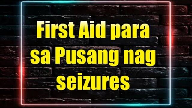 First aid sa pusang nangisay