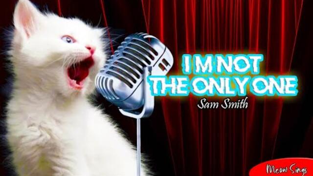 What if cat sing I'm not the only one by Sam Smith