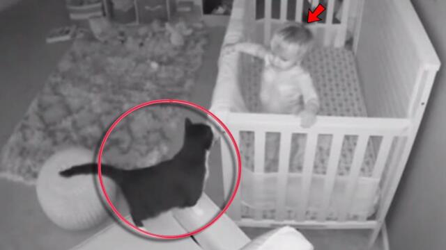 Parents Were Shocked When They Found Out What Cat Was Doing To Their Child At Night