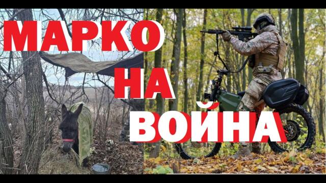 Васил Данов: Магарето Марко на война! Тръмп продължава доставките. Докъде ще стигнат САЩ и Европа?