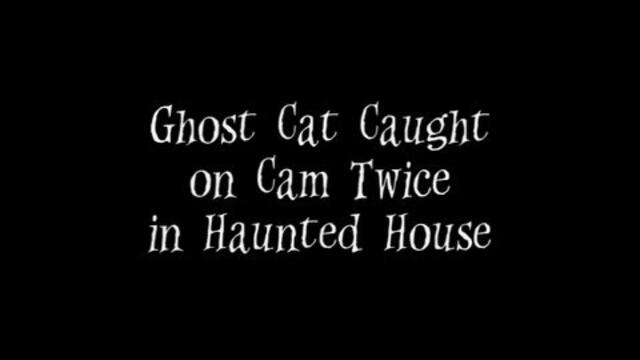 Ghost Cat Caught on Cam Twice in Haunted House