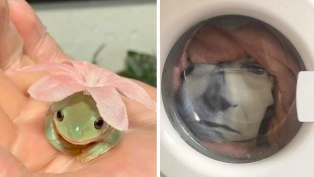 Фото, которые перевернут ваш взгляд на мир