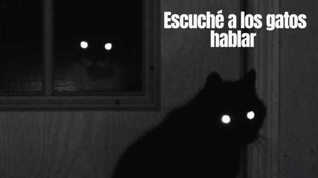 Escuché a los gatos hablar.
