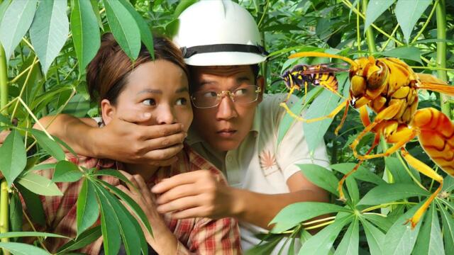 Engineers and Tu Sinh grow organic peanuts and have a funny way of hiding from bees
