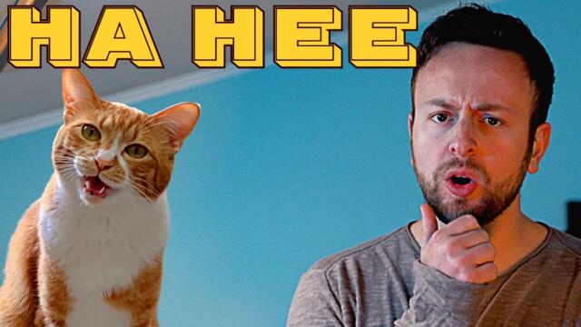 Chai Kichi x Spaul HA HEE (Singing Cat) KIFFNESS style AHENG HAHENG