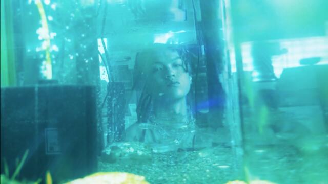 Lisa lil vinci - 失業しないョ (Official video)