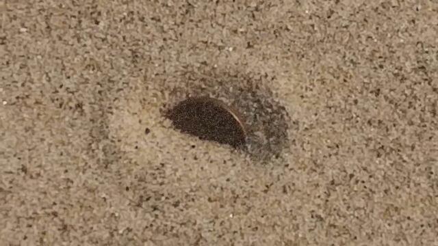 Ритуал - онлайн на 13-е в полнолуние сдвинуть дело с мёртвой точки. К  XV.