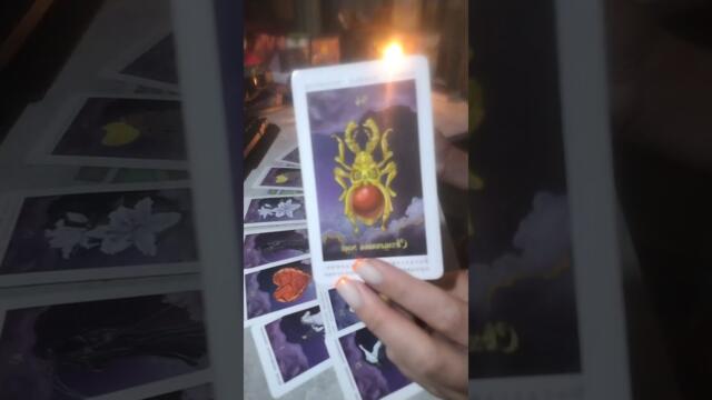 ✨ПОЛНОЛУНИЕ ИЮЛЯ 🌚 #subscribe #таро #tarot #гадание #status #таролог #путьксебе #любовь #поток