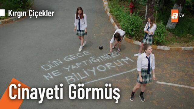 Dün gece ölü bir adamı denize attık!  - Kırgın Çiçekler Kolaj @KirginCicekler