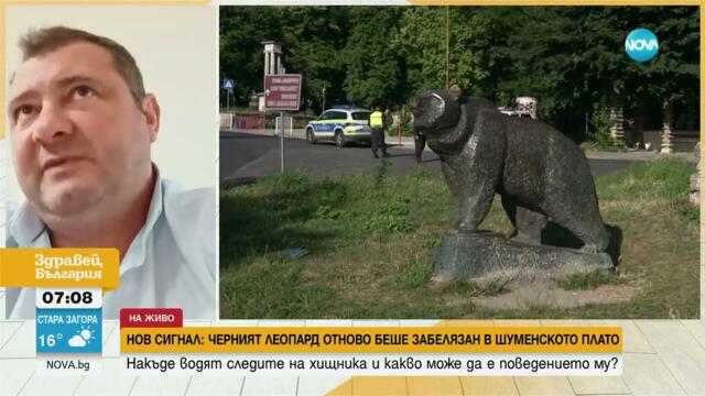 Директорът на зоопарка в Ловеч: Ако се натъкнете на черния леопард, не се обръщайте с гръб