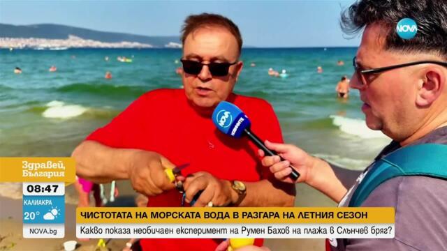 Черно море чисто, туристите – объркани: Кой плаши летовниците със „зелена заплаха“?