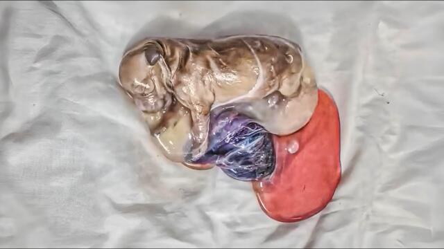 This puppy wants to be born but his mother has died.