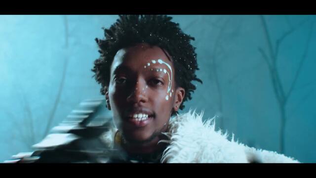 Nel Ngabo & Platini P - A la vie (Official Video)