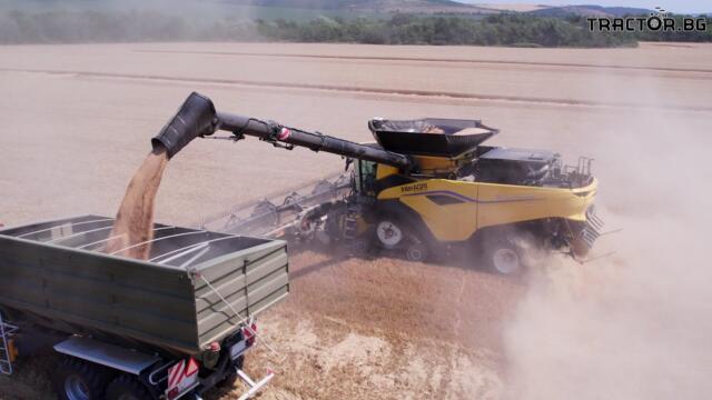 150 тона на час: Най-големият зърнокомбайн в света жъне в България